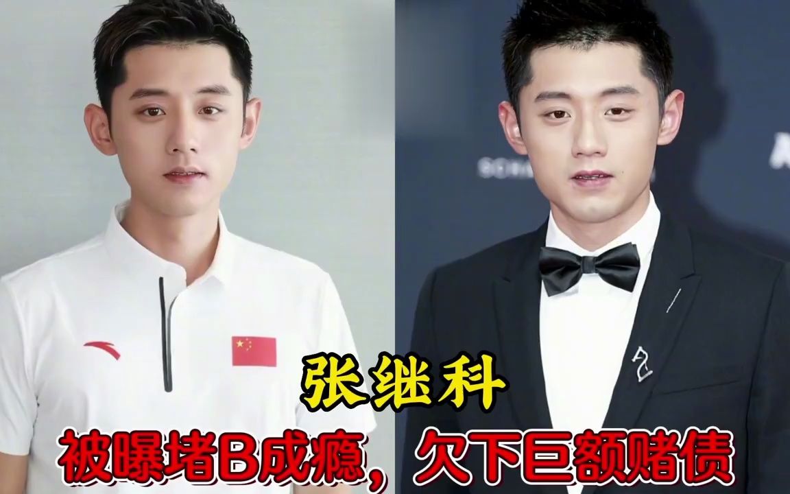 足球明星张继科将伤退的简单介绍