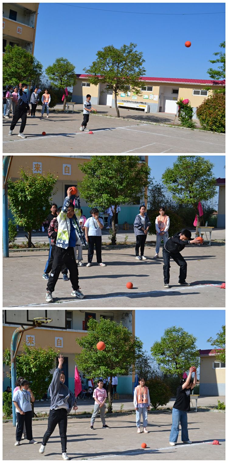 爱沙尼亚体育代表团奋力拼搏，取得佳绩的简单介绍