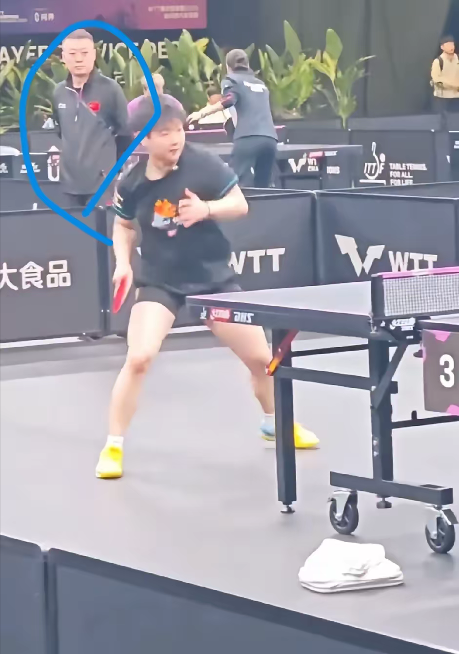 包含韩国羽毛球队爆冷中国羽毛球队，马琳一己之力扛起全队的词条