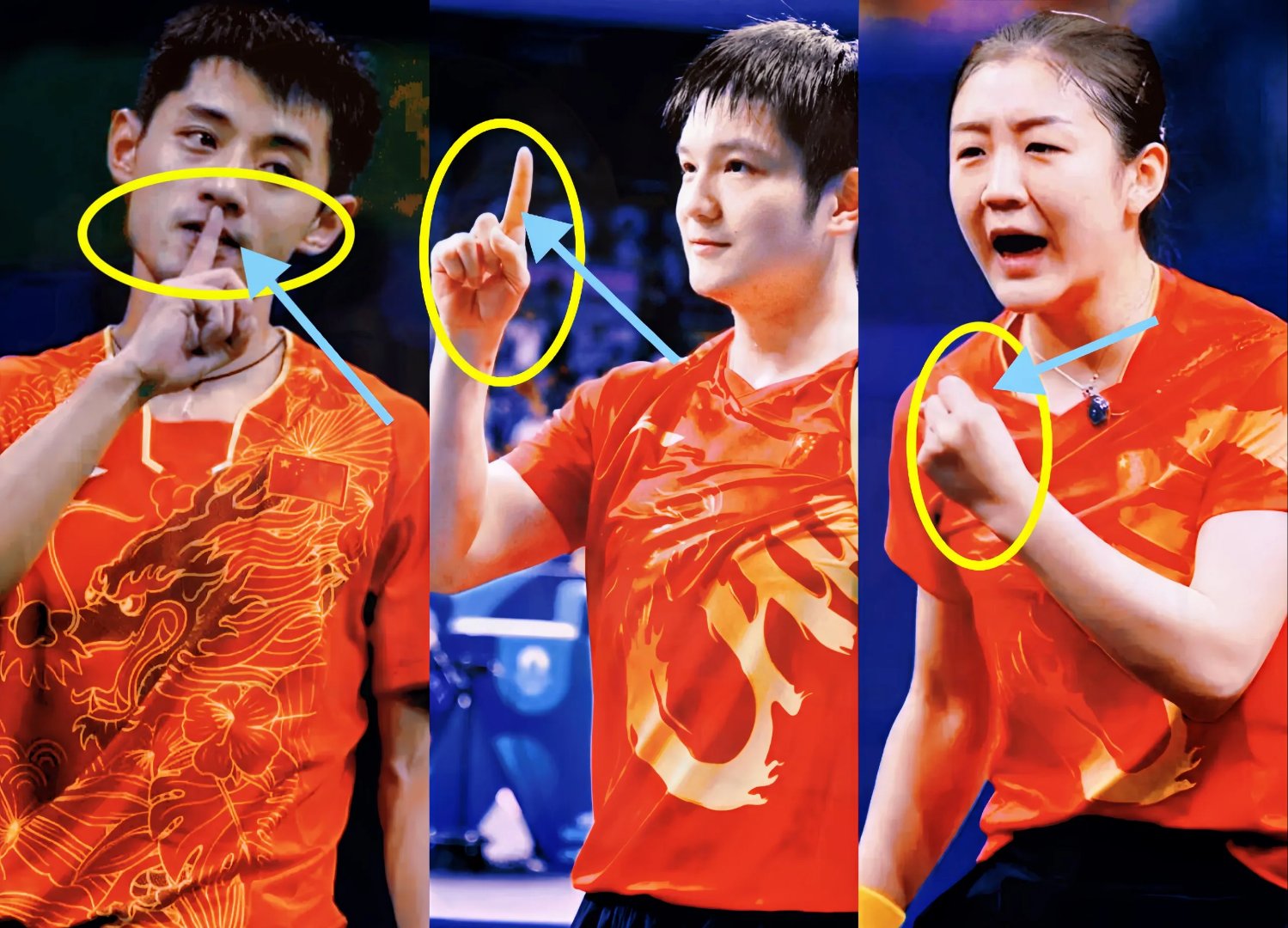 中国乒乓球队轻取波兰乒乓球队，张继科关键制胜的简单介绍