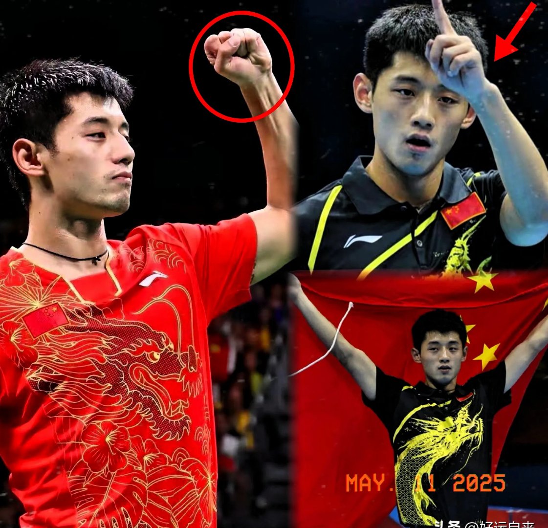 中国乒乓球队轻取波兰乒乓球队，张继科关键制胜的简单介绍